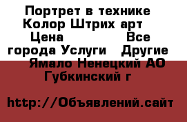 Портрет в технике “Колор-Штрих-арт“ › Цена ­ 250-350 - Все города Услуги » Другие   . Ямало-Ненецкий АО,Губкинский г.